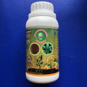Siêu dưỡng đọt - Chống tia UVB