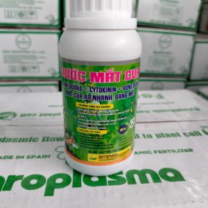 Rước mắc cua (dạng nước)