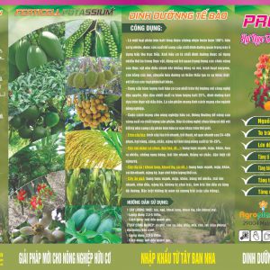 Ferticell Pro K Mix (100% chiết xuất thực vật)